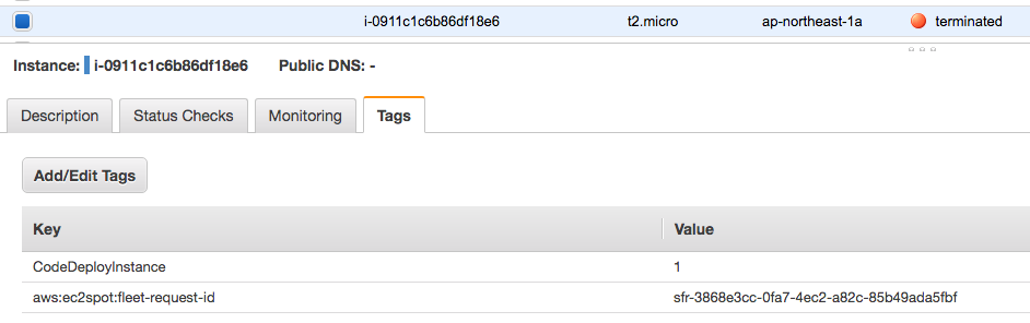 設定 Deployment 群組 ec2 tag