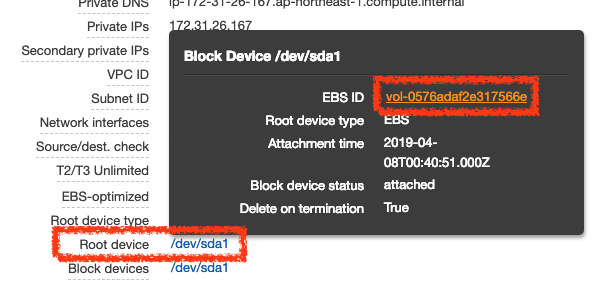 從 EC2 找出 Elastic Volume